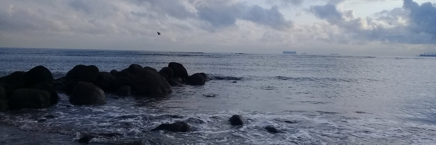anlatari's profile banner image