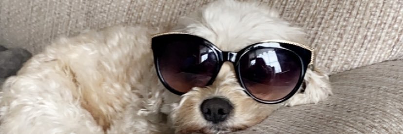 kaseyprend's profile banner image