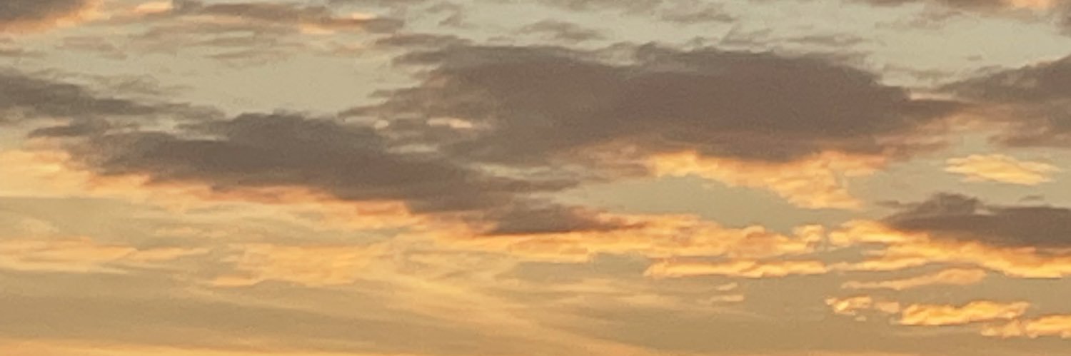 31148_'s profile banner image