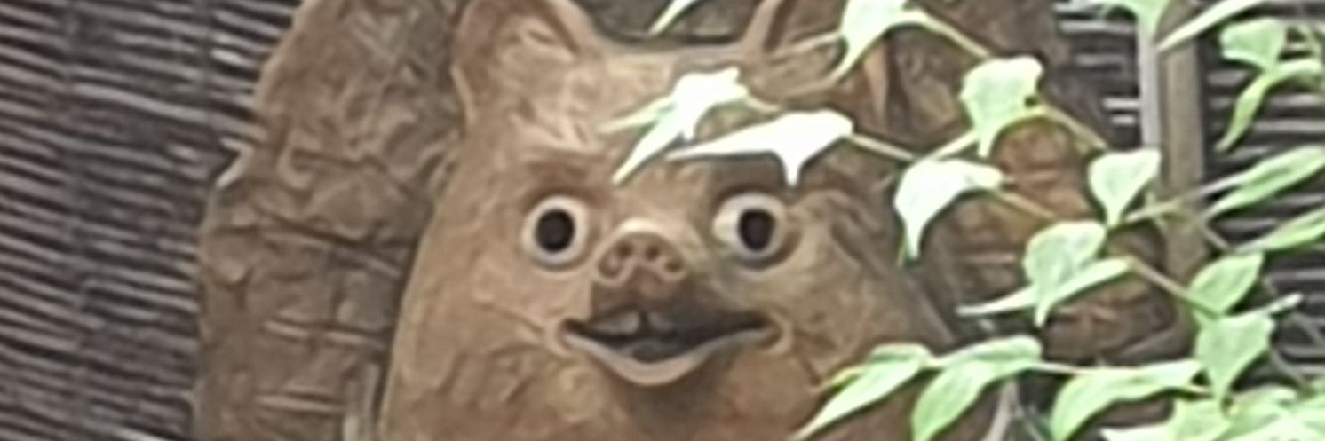 Mayubuns's profile banner image