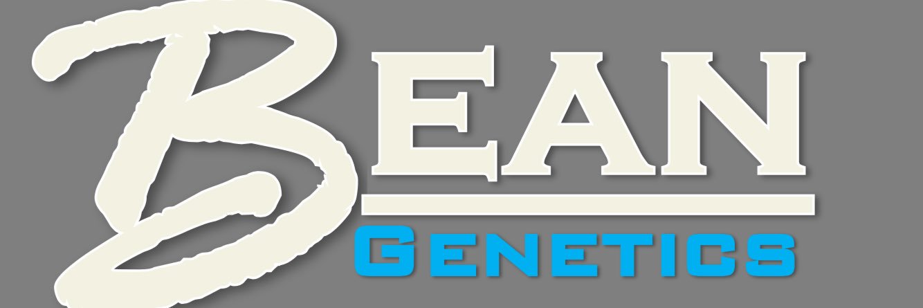 BeanBryce's profile banner image