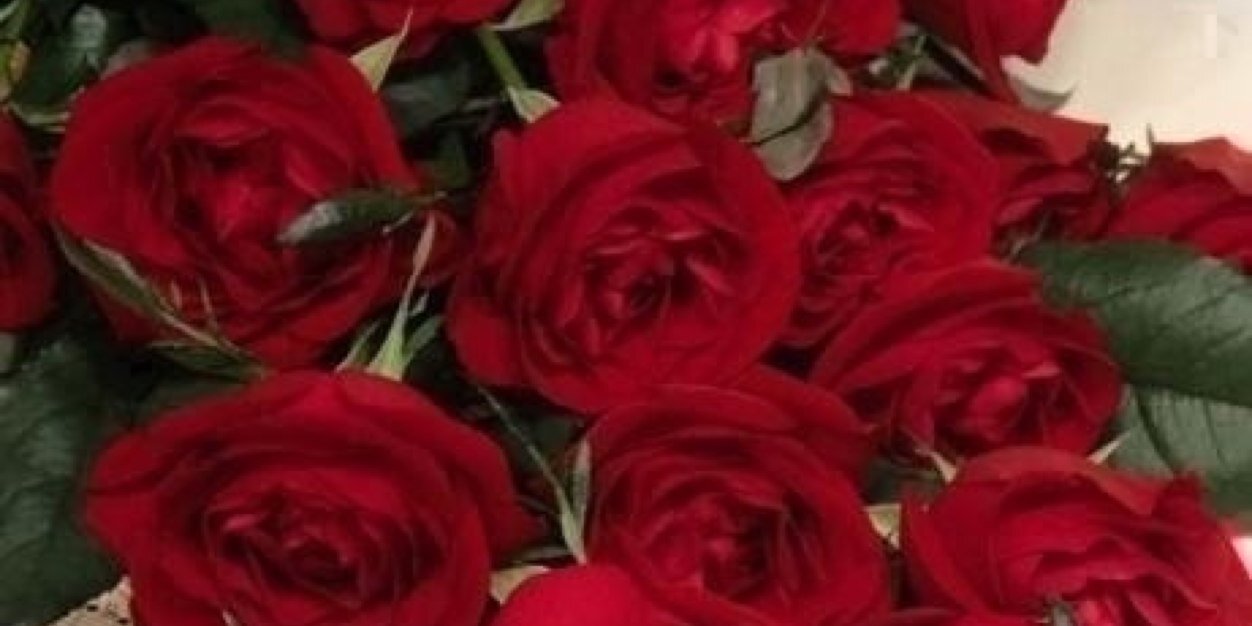 556644ha's profile banner image