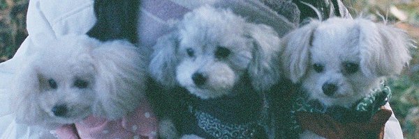 ayanon_kt Profile Banner