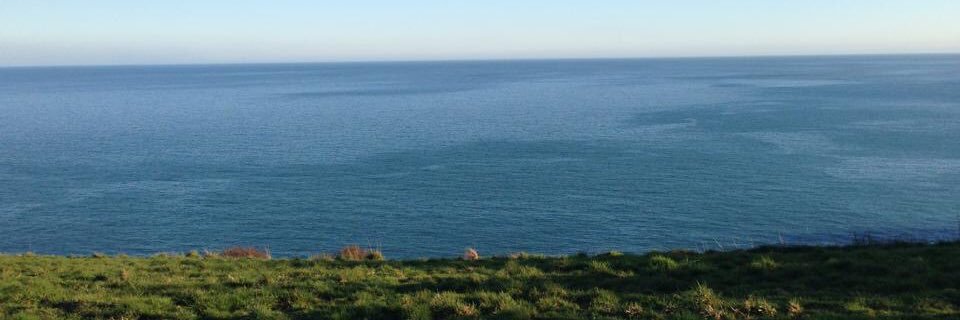 Sarah Jenny Cochrane, MA, CSW🇺🇦 banner