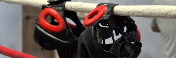 ElMando75 Profile Banner