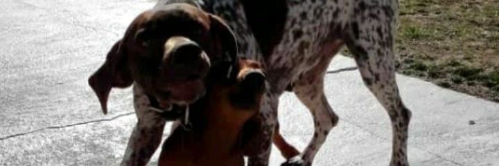 AgosAllendee's profile banner image