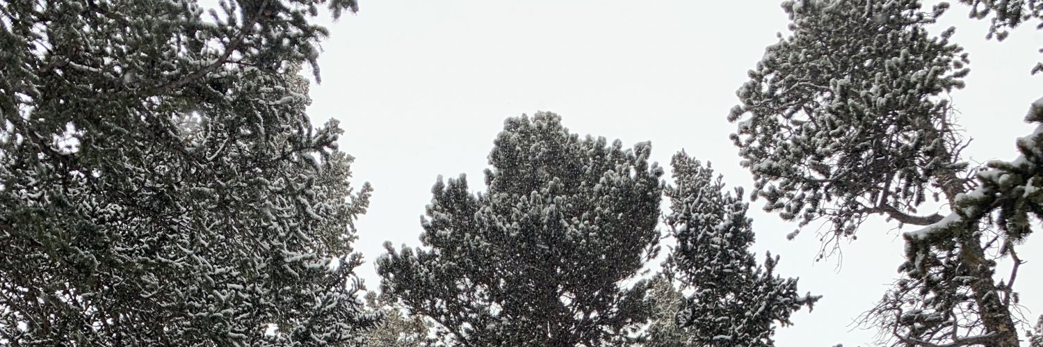 jliu3030's profile banner image
