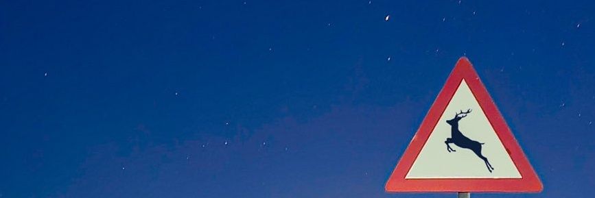 _3lllr's profile banner image