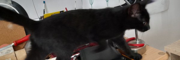 Wiktor_von_Doom Profile Banner