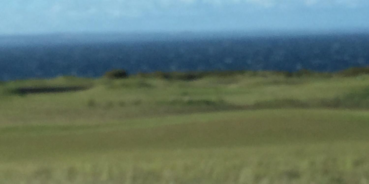 wmeldrum74's profile banner image