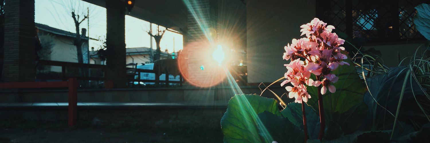 BeksVengeance's profile banner image