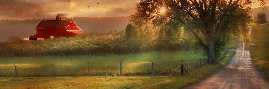 felipepardoo's profile banner image