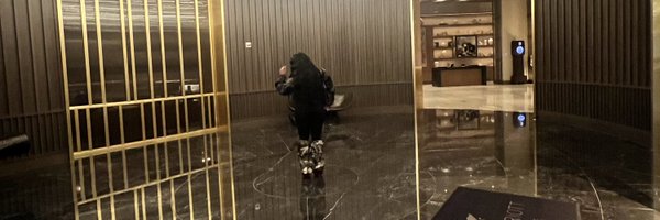 gvbriellec Profile Banner