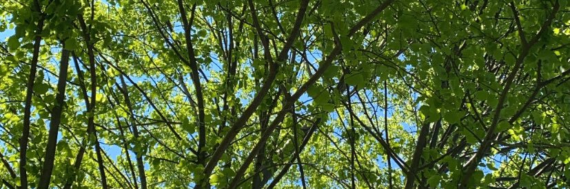 Christye_O's profile banner image