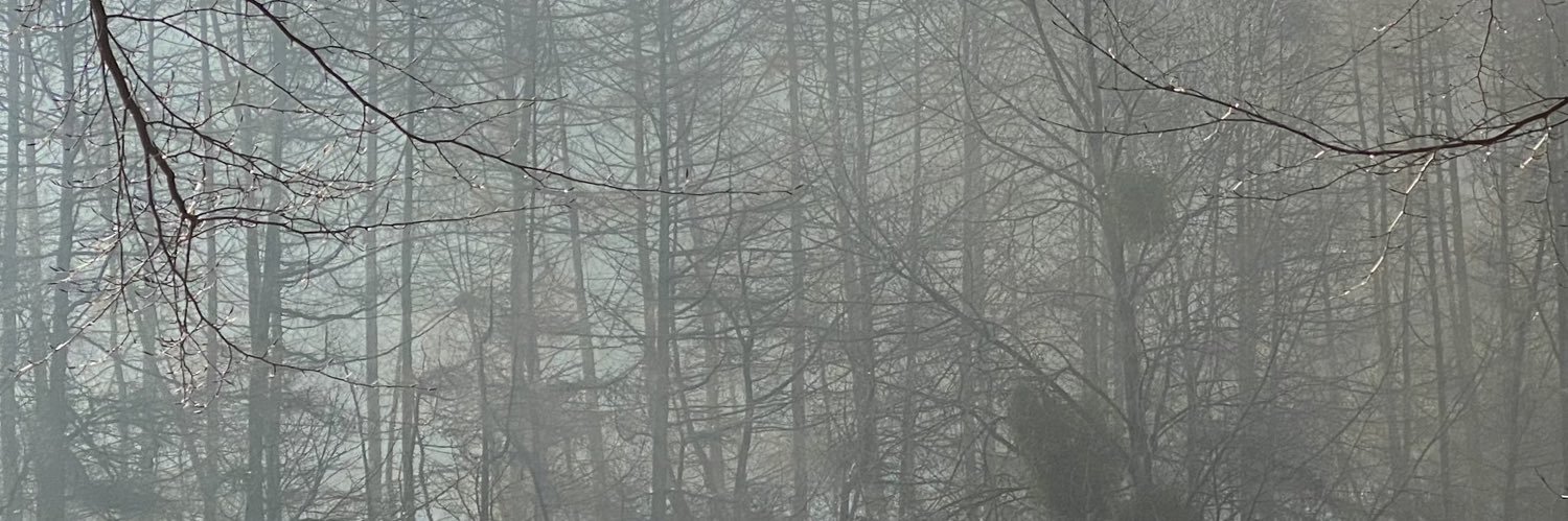 idleicarus's profile banner image