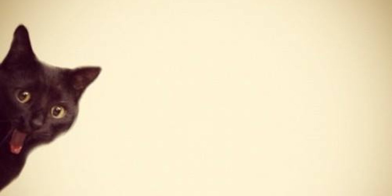 bitlejjuice's profile banner image