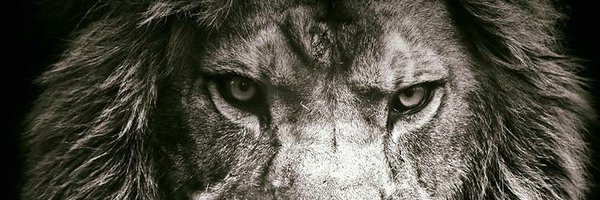 TheMCVC Profile Banner