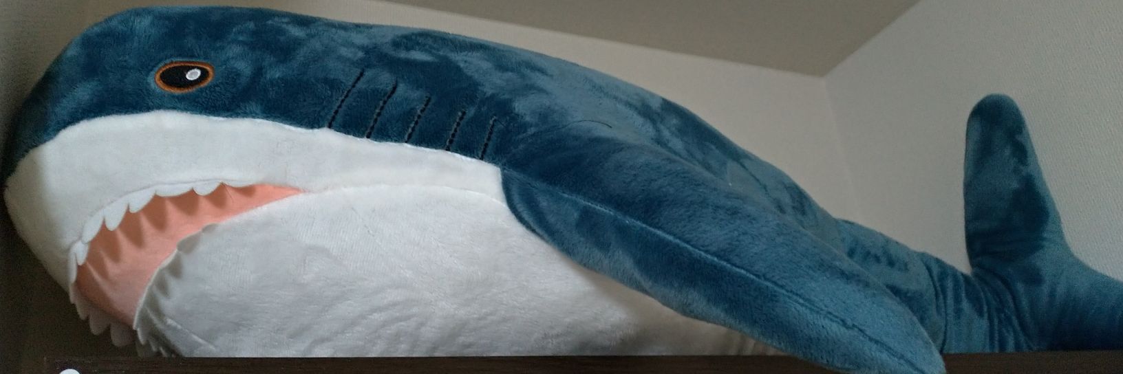 Rosh🍆 banner