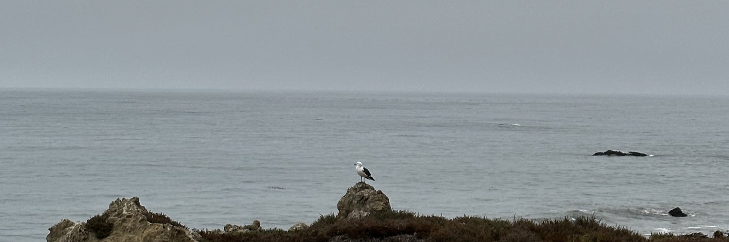 ArizpeErick's profile banner image