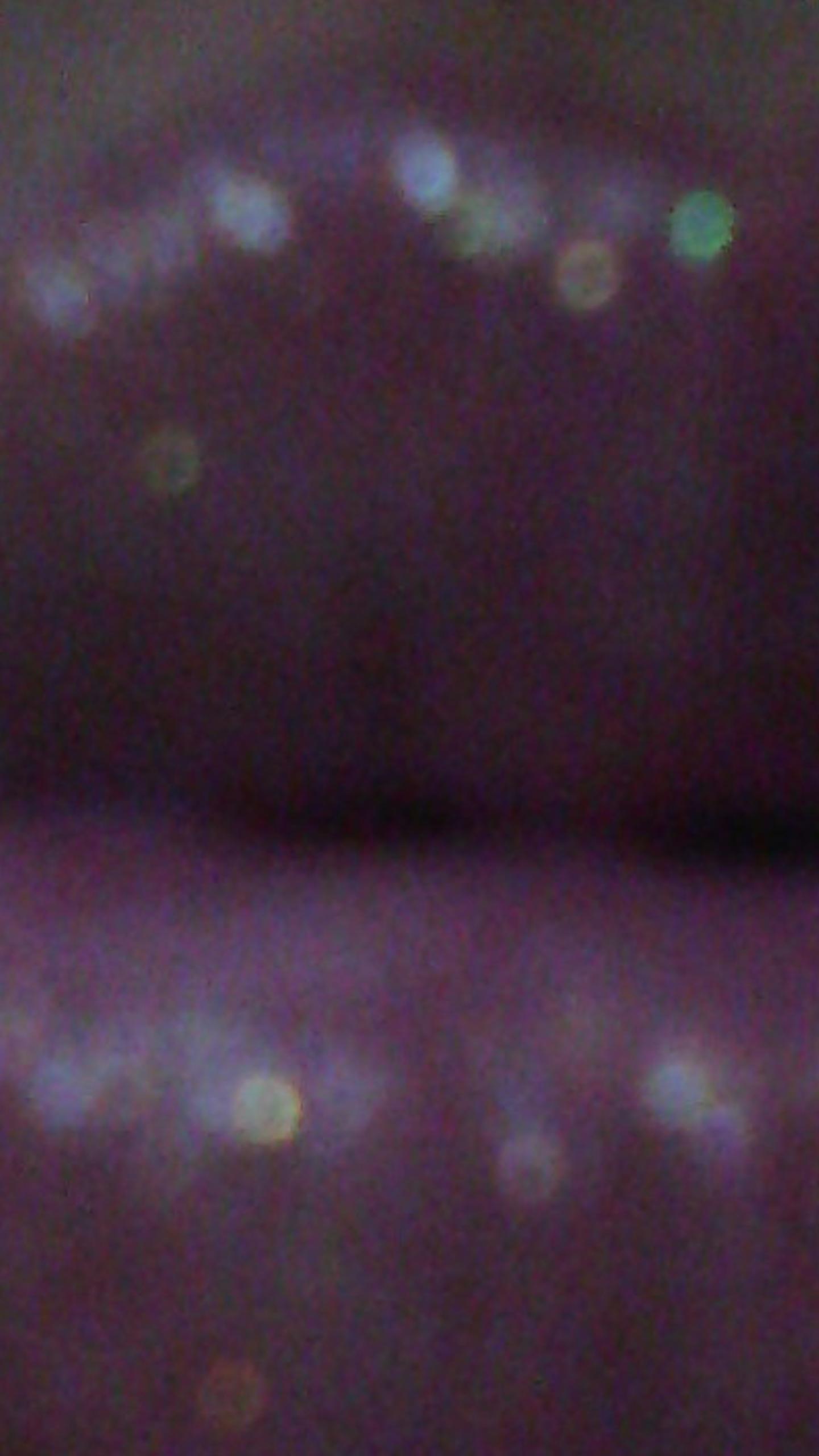 marthaortiz23's profile banner image