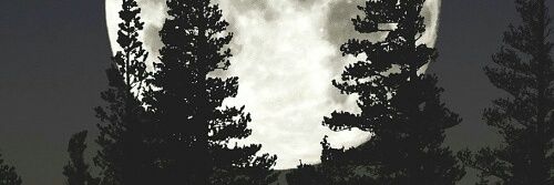toparaponosou's profile banner image