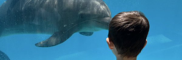 8hXcfPHetqWIt23 Profile Banner