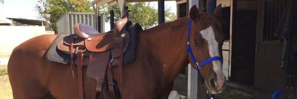 GeorgeDeFazio Profile Banner