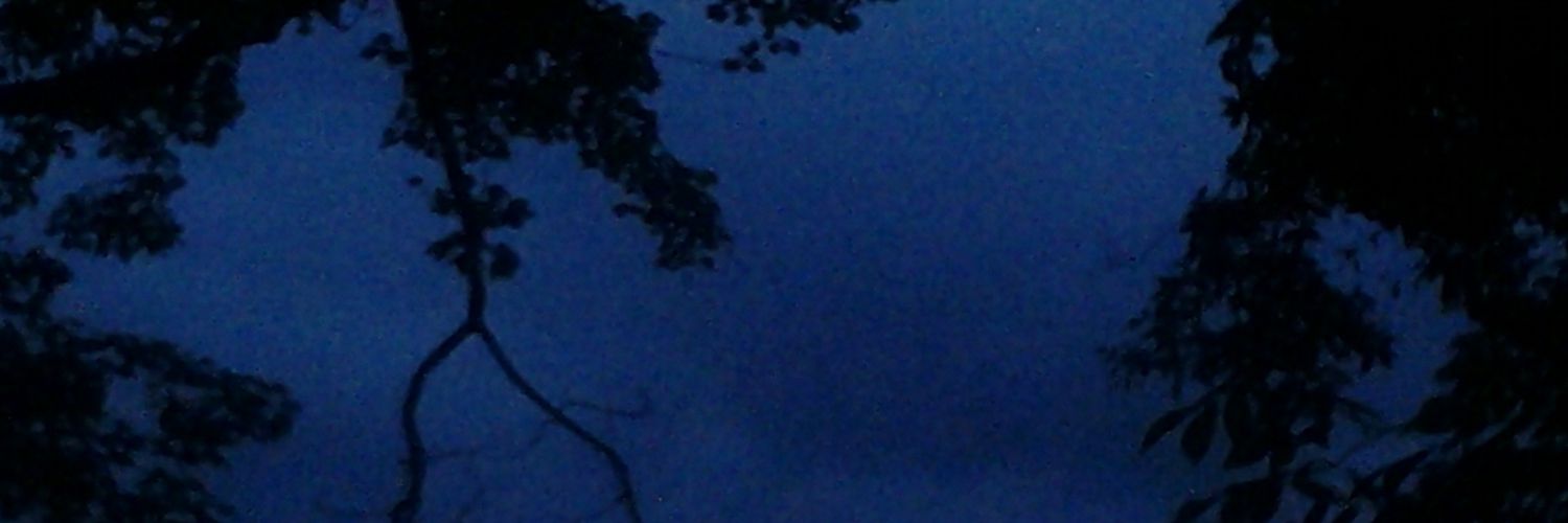 WhyItsEagle's profile banner image
