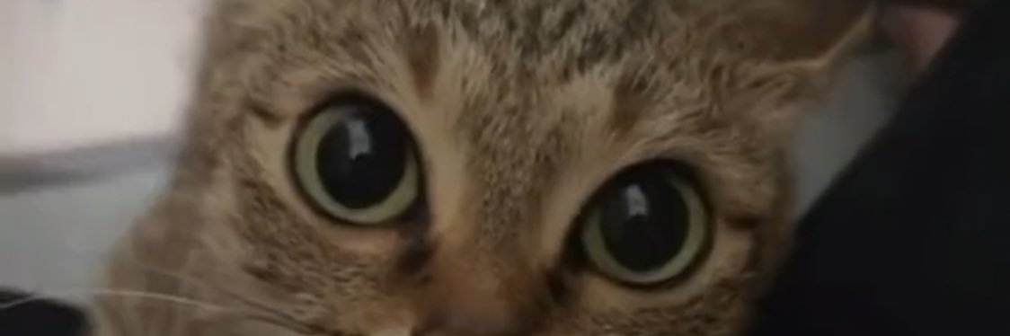 makeitdoneall's profile banner image