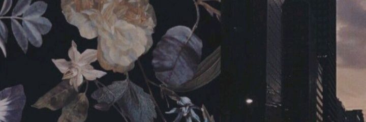 solcoppiarolo's profile banner image