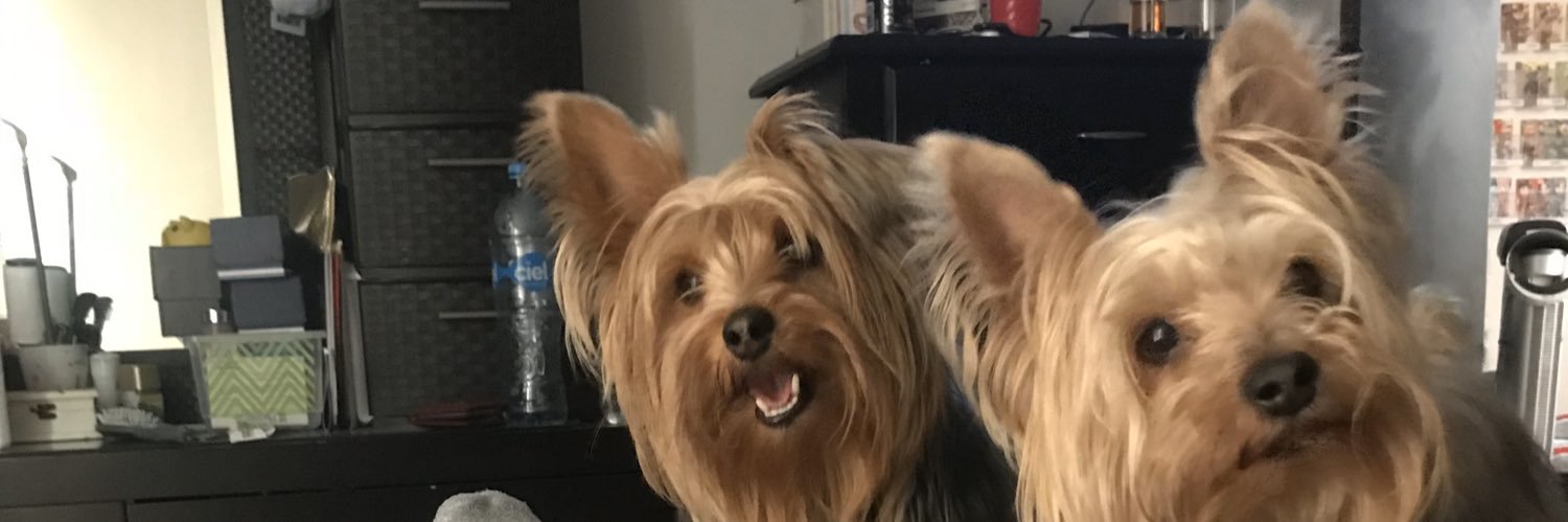 ivanovichGDL's profile banner image