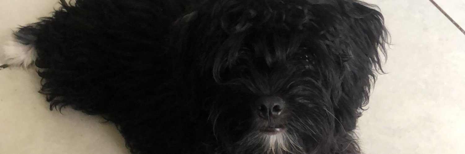 Gabannaman's profile banner image