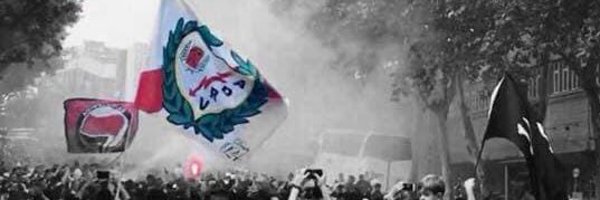 carolcasmar Profile Banner