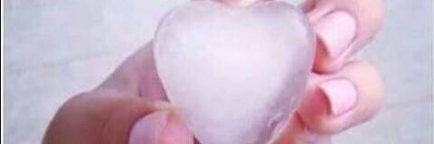 saylor_abby's profile banner image