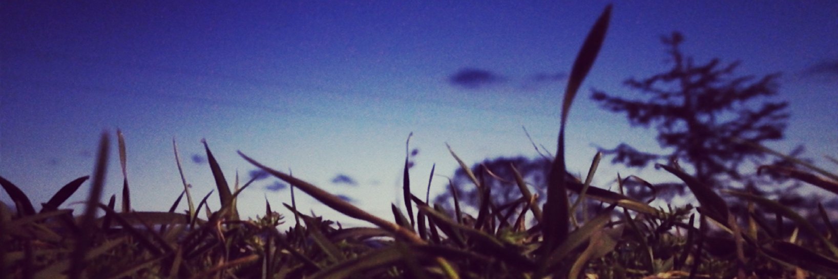 varywolf's profile banner image