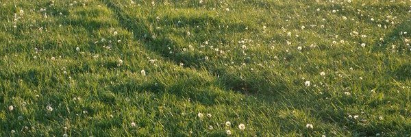 reciprocats Profile Banner