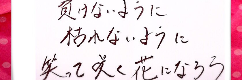 meguo28's profile banner image