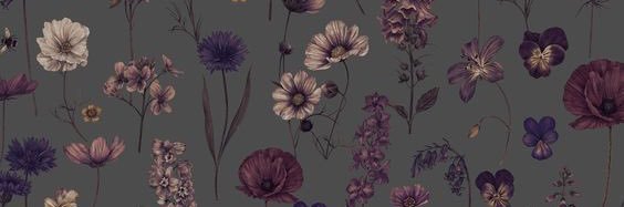 _arii05's profile banner image