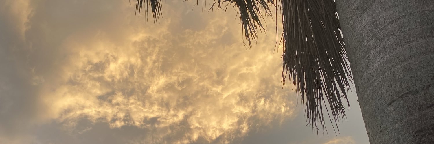 Romi Pérez banner