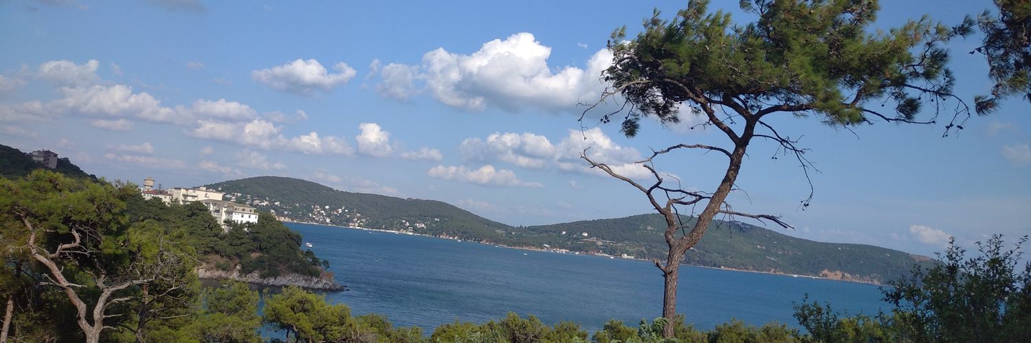 sfkinanir's profile banner image