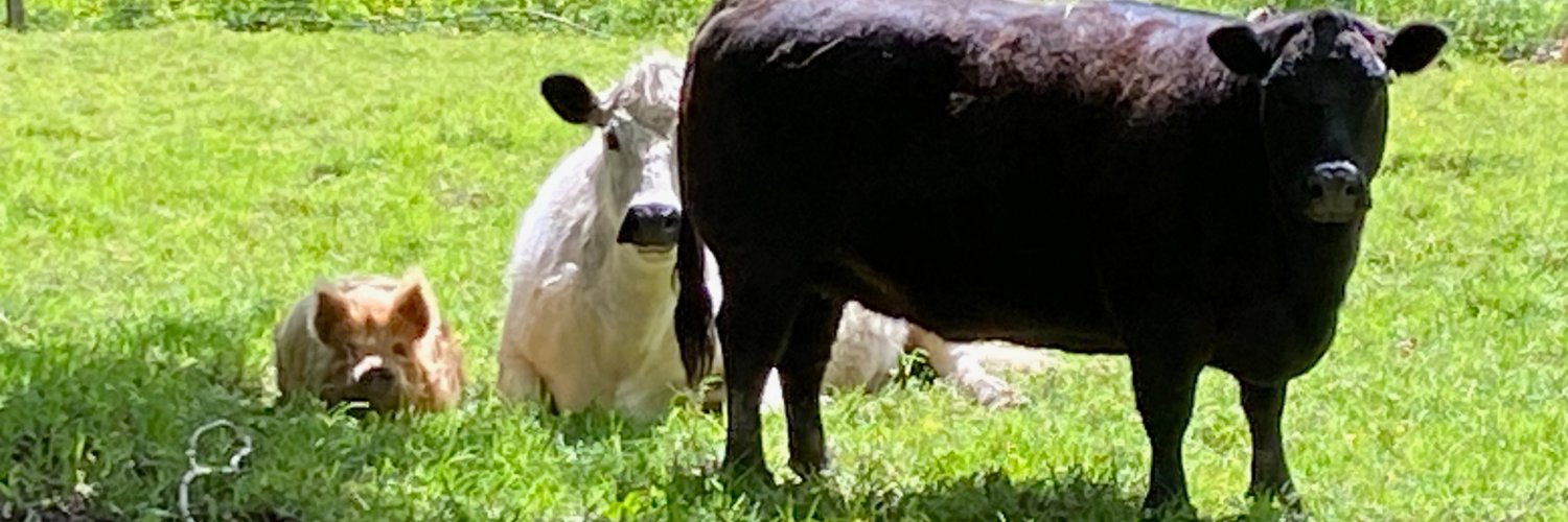 Epic Tetus 🔨🇳🇿🐄🐖☕️🍺🏴󠁧󠁢󠁥󠁮󠁧󠁿🇮🇪 banner