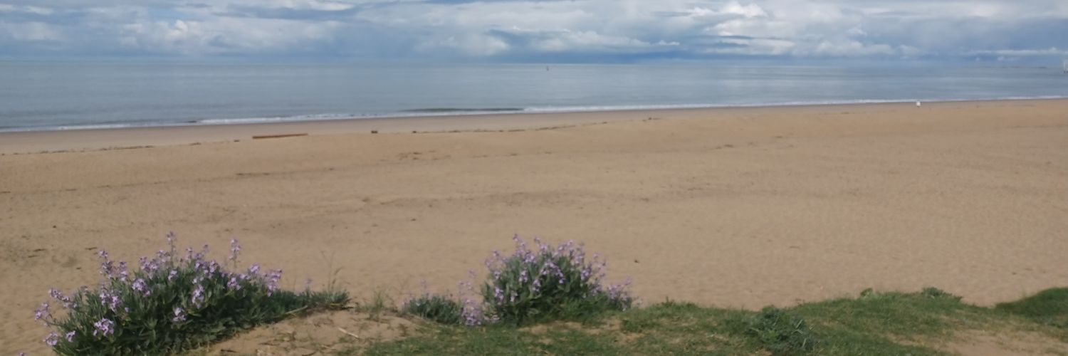 Lily 888🕊 banner