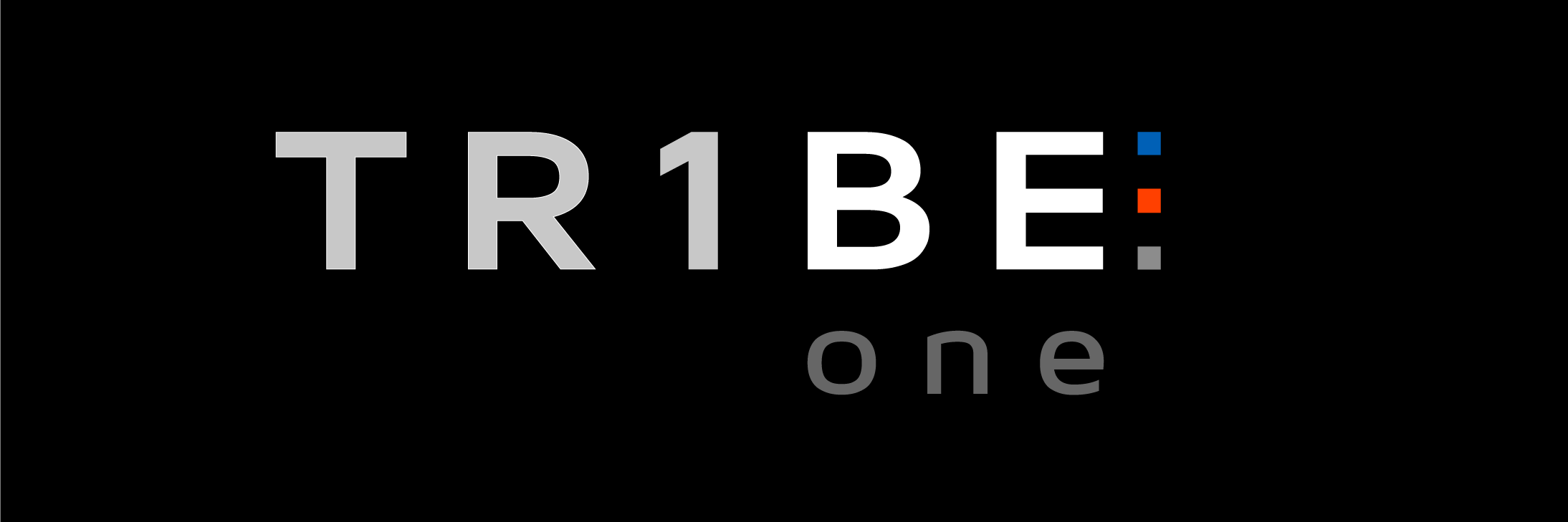 Tribe One Gym banner