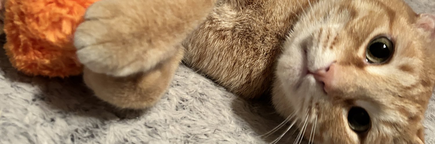 alexa vega 🦥 banner