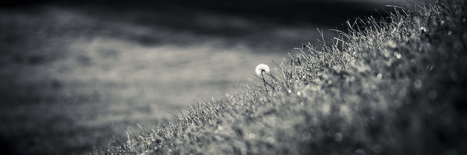 A Knowmad Progress banner