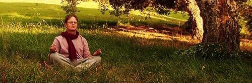 alice may dear banner