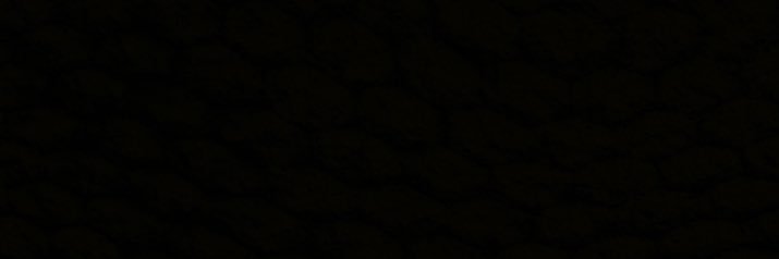 dbandz.eth banner