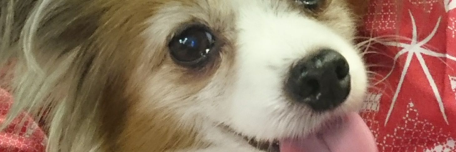 jaminclaro's profile banner image