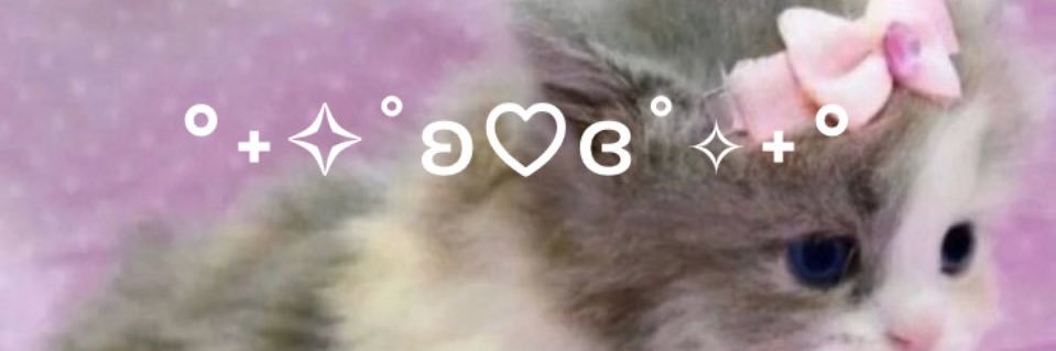 bbykett's profile banner image