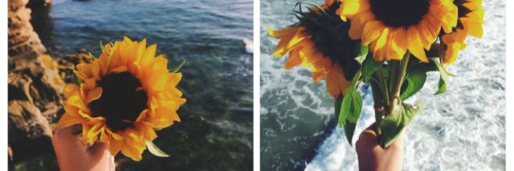 karli_oneil's profile banner image